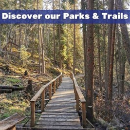 wooden bridge between trees
